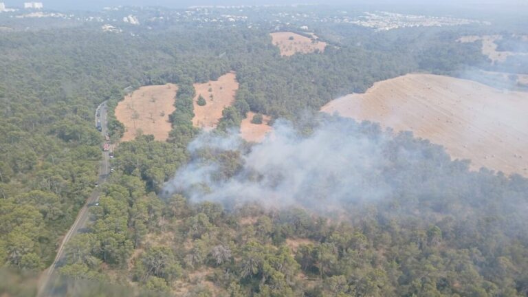 Vista a&eacute;rea de un incendio forestal en Cala Murada