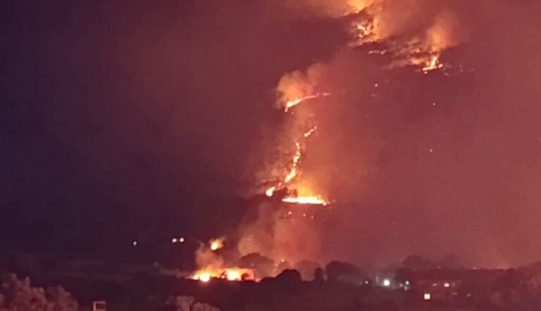 Incendios forestales en España arrasando hectáreas en 2026
