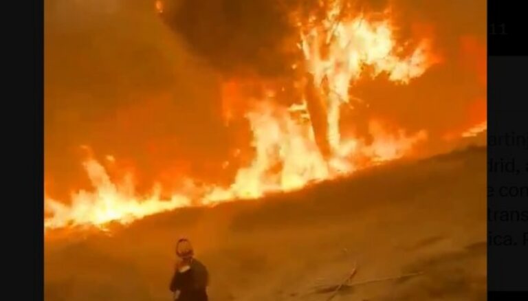 Un bombero frente a un incendio forestal en Espa&ntilde;a