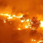 Incendio forestal en Madrid y &Aacute;vila afectando a la vegetaci&oacute;n
