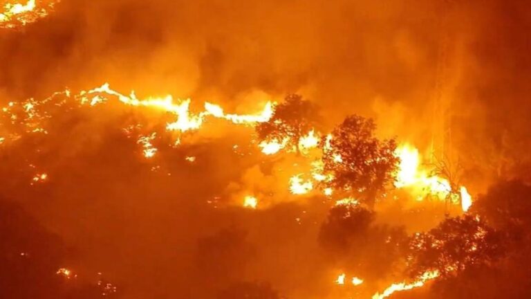 Incendio forestal en Madrid y Ávila afectando a la vegetación