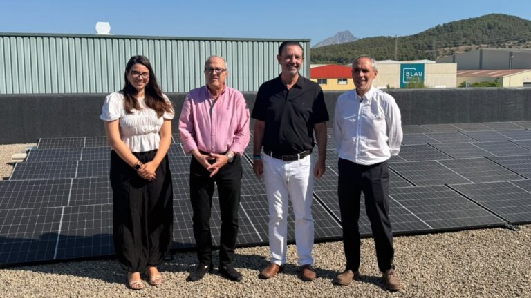 Cuatro personas junto a paneles solares en una instalaci&oacute;n energ&eacute;tica