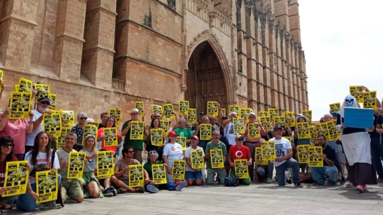Menys Turisme insiste en que poner silicona en las cerraduras "no es violencia"