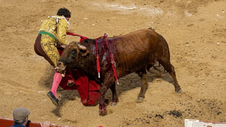 Torero José Antonio Morante de la Puebla en el Coliseo Balear lidiando un toro