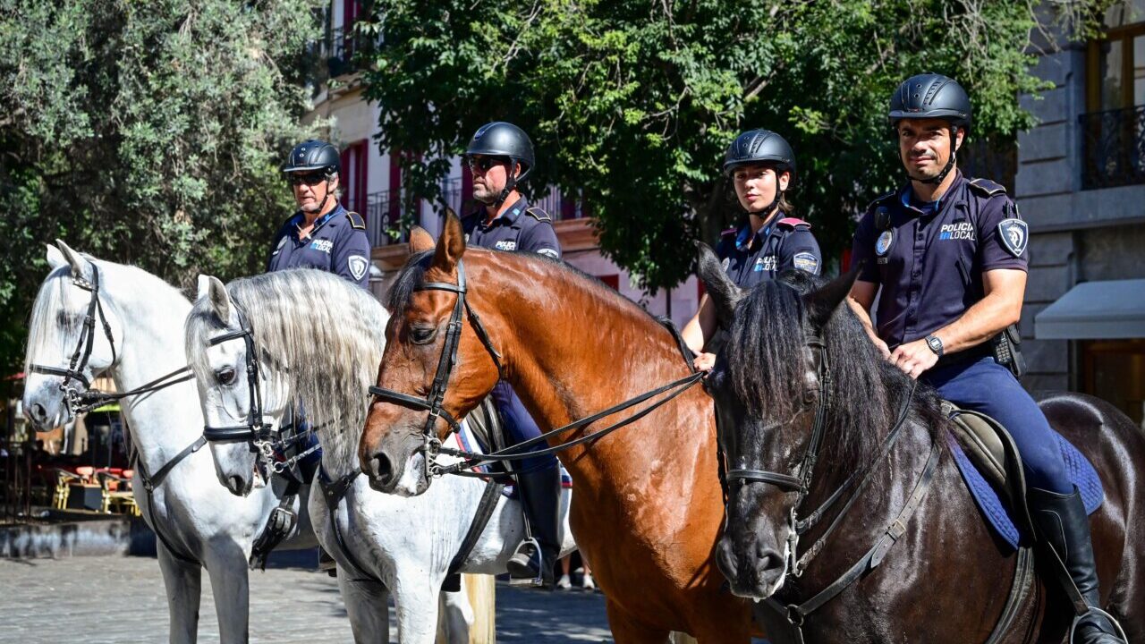 Bolero y Sirius, los nuevos fichajes de la Polic&iacute;a Local de Palma
