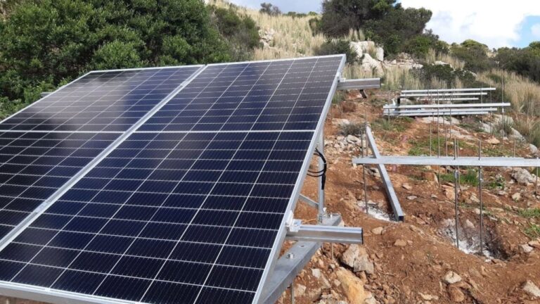 Paneles solares instalados en un parque fotovoltaico en Llucmajor