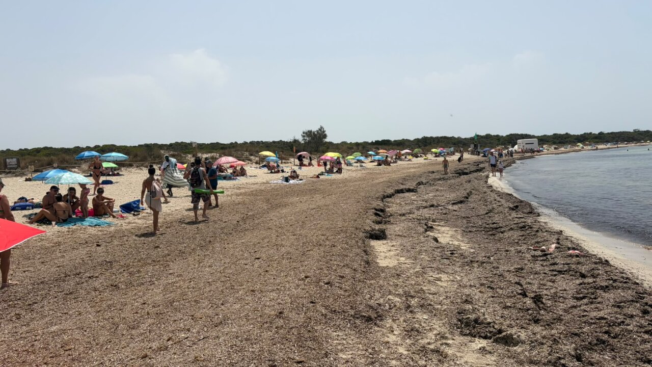 Playa de Es Trenc con sombrillas y personas disfrutando del sol