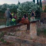 Rescatan a un caballo atrapado en un puente en S&oacute;ller