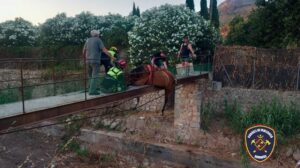 Rescatan a un caballo atrapado en un puente en S&oacute;ller