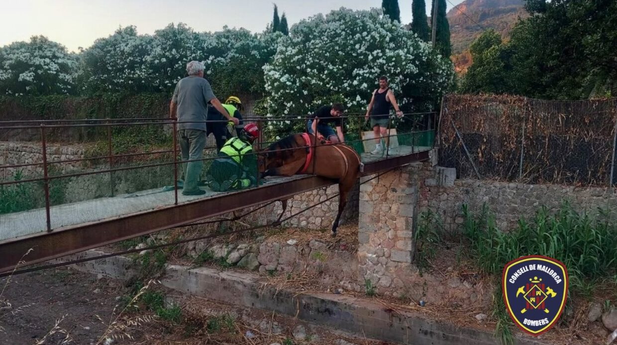 Rescatan a un caballo atrapado en un puente en S&oacute;ller