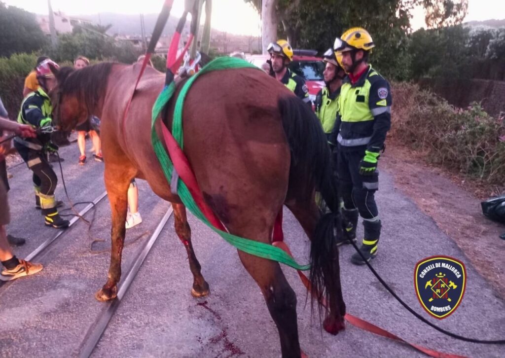 Rescate de un caballo atrapado en un puente en Sóller