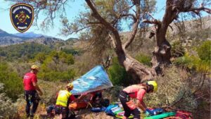 Sa Milana evacua a un hombre tras caer de un &aacute;rbol en una finca de Pollen&ccedil;a
