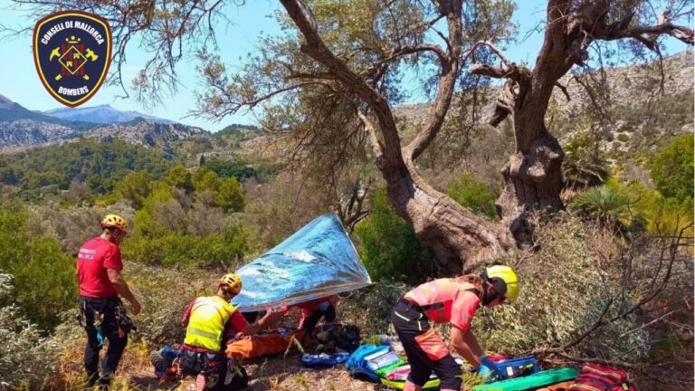 Sa Milana evacua a un hombre tras caer de un árbol en una finca de Pollença
