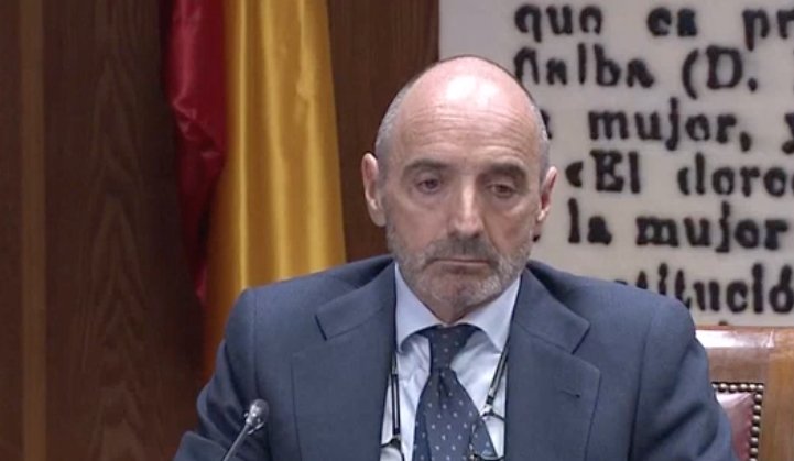 Julio Martínez durante su declaración en el Senado