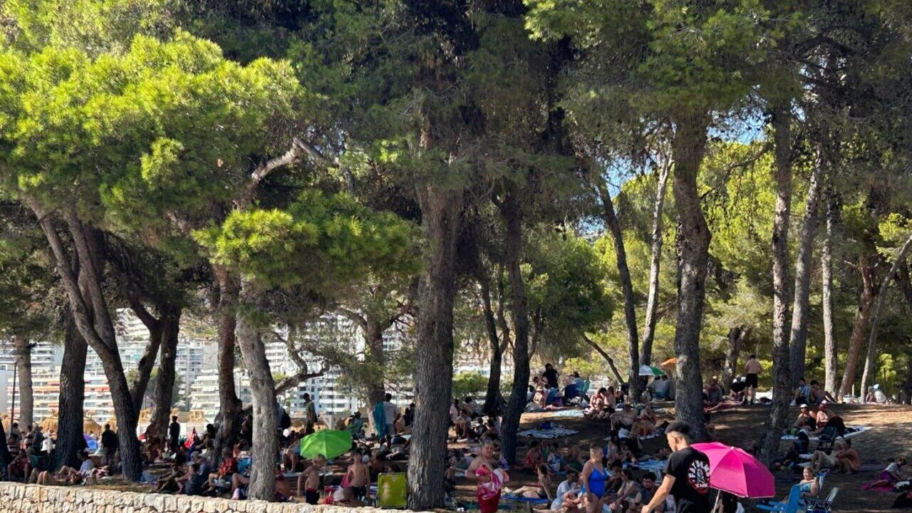 Personas disfrutando del eclipse total de Sol en Calviá, Mallorca.