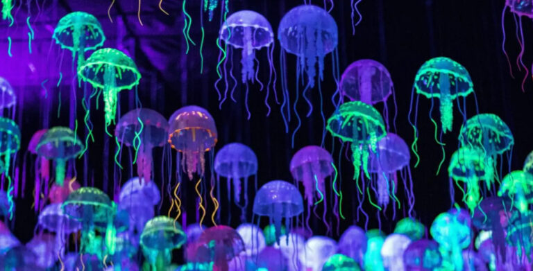 Medusas de colores brillantes flotando en el agua