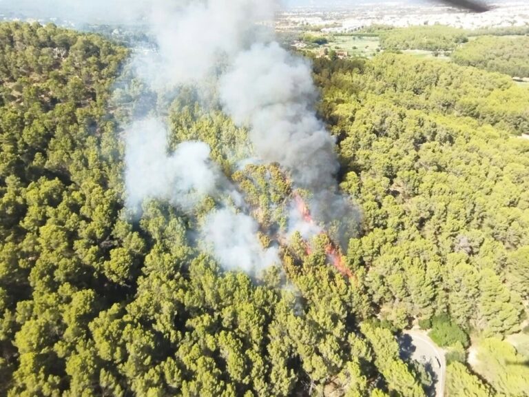 Incendio forestal en el Puig de Son Muntaner cerca de Palma
