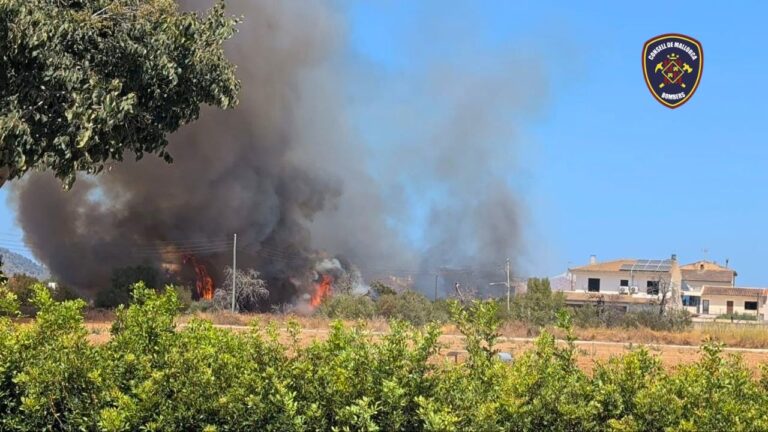 Un incendio quema una hectárea en un solar cercano a varias viviendas en Sa Pobla