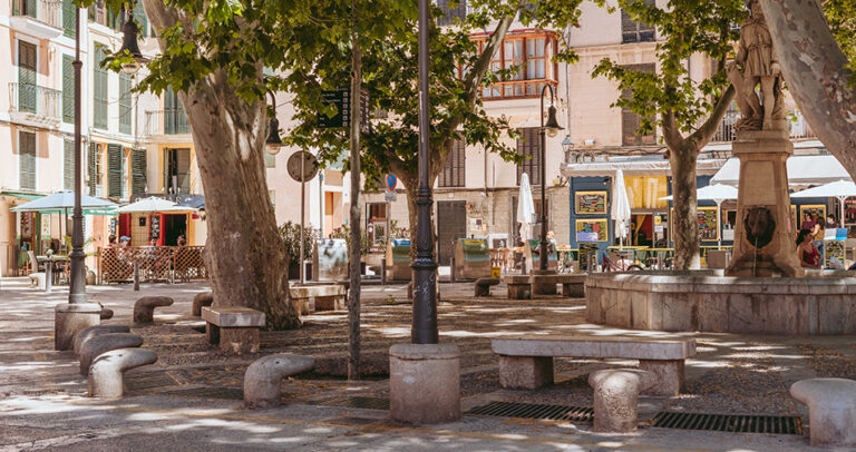 Plaza en Palma con terrazas de bares y &aacute;rboles
